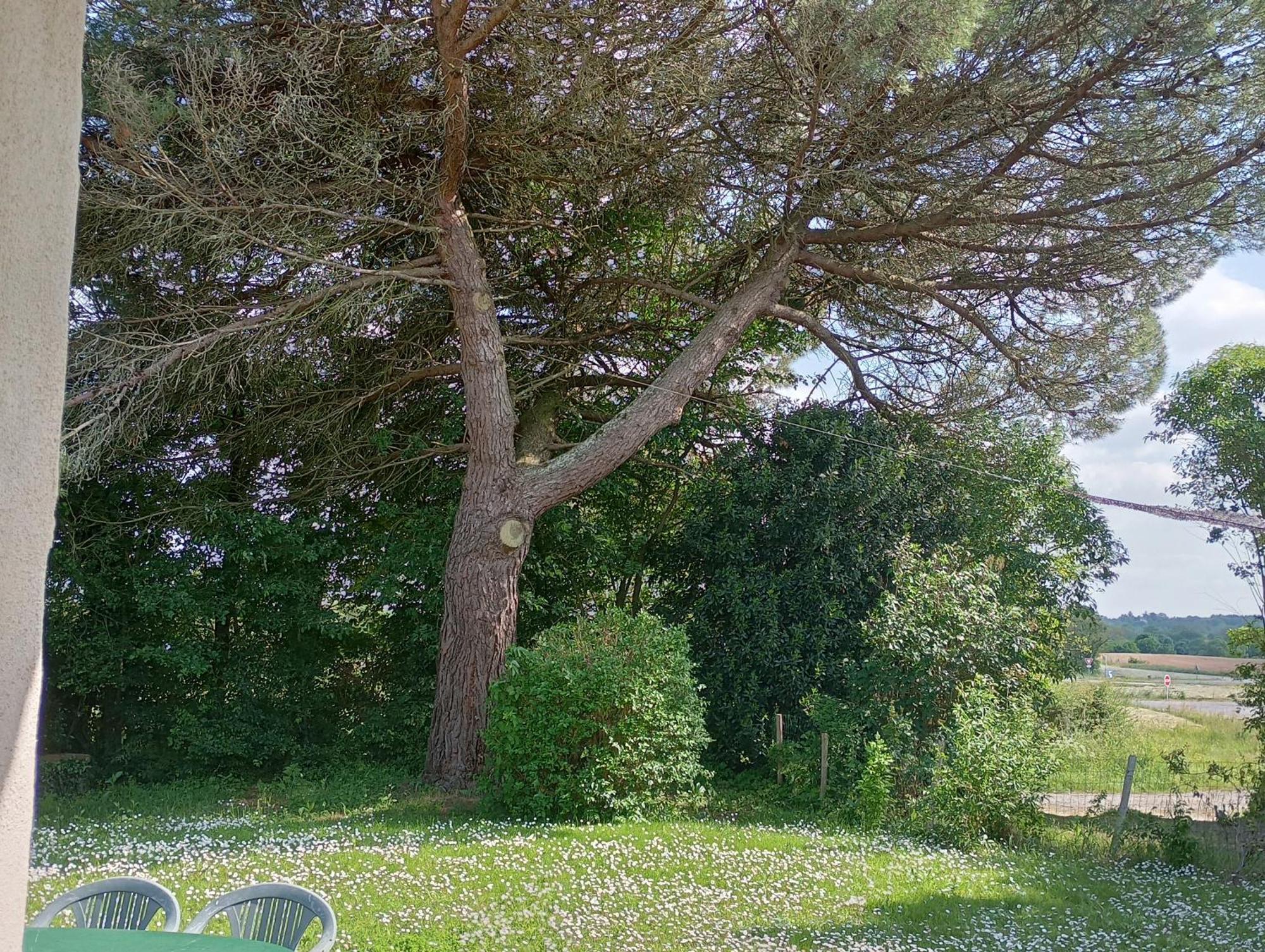 Le Petit Gué - Soleil Couchant Frossay Chambre photo